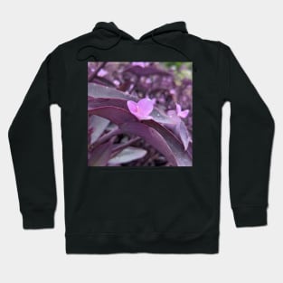 Lavender Flower Popping Out of Purple Leaves Hoodie